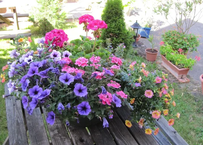 Nocleg ze śniadaniem Douce Nuit